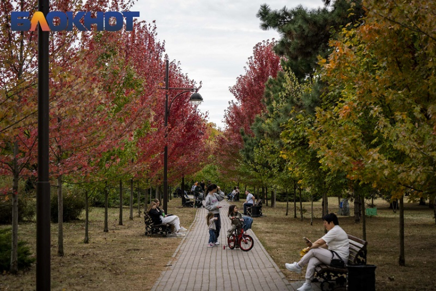 В Краснодаре потеплеет до +19 градусов