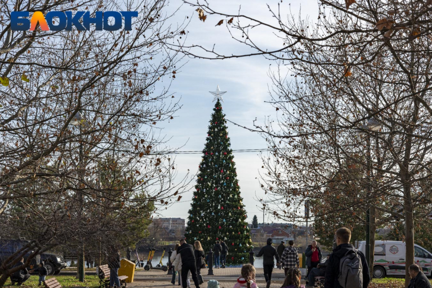По просьбе горожан в Воронеже установят новогоднюю елку в Центральном парке