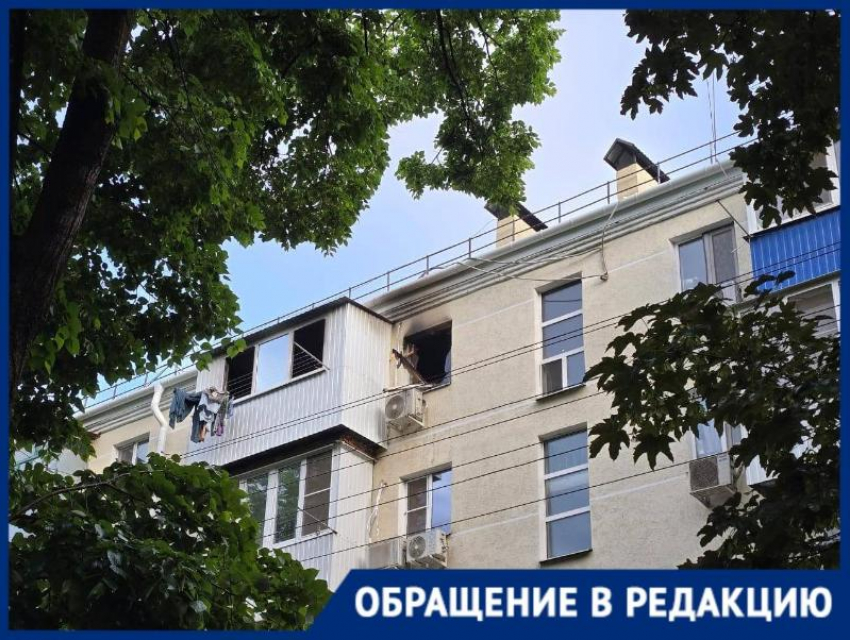 «Мы говорили, что такое произойдет»: из-за упавшего дерева в Краснодаре сгорели квартиры 