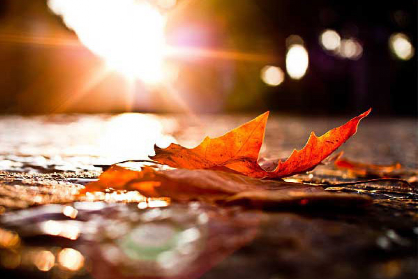 В Краснодаре на смену аномальной жаре придут проливные дожди