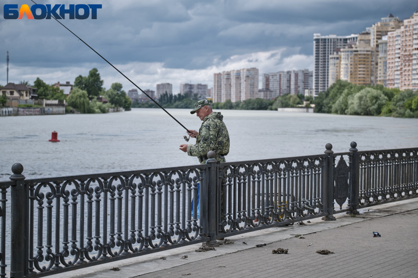 Роскосмос признал Краснодар самым не озеленённым городом-миллионником России