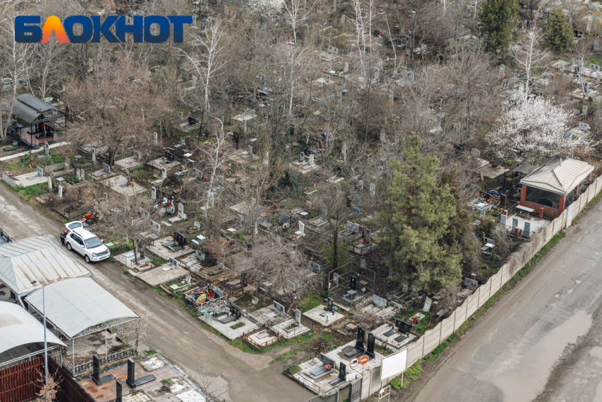 В Краснодаре на Славянском кладбище массового грабят могилы 