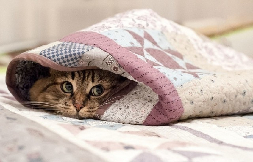 Дожди и грозы могут вернуться в Краснодарский край