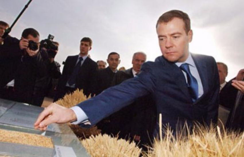 Дмитрий Медведев проинспектирует АПК Кубани