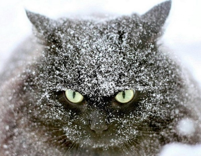 На Кубани ожидается дождь и мокрый снег