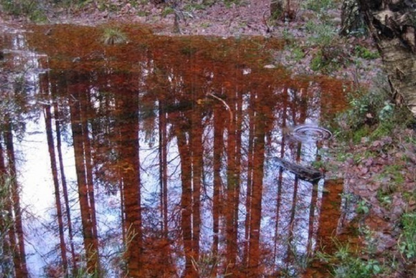 В Новороссийске прошел африканский «ржавый» дождь