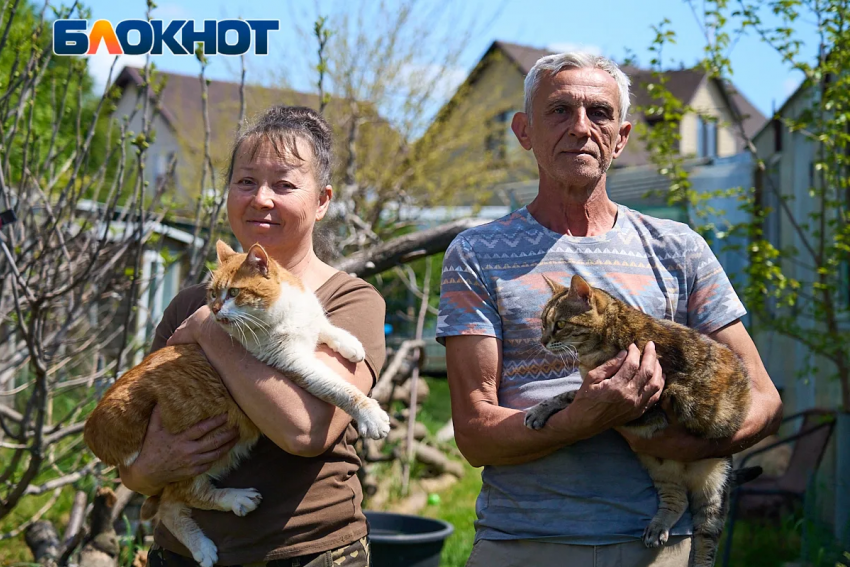 «Продали квартиру и машину ради 150 кошек»: приют в станице Краснодара оказался в долговой яме