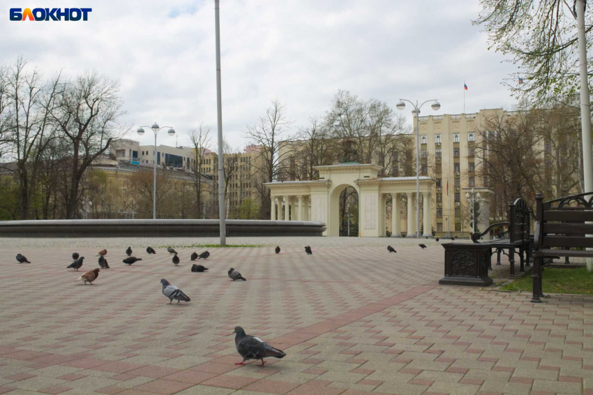 Мэр Краснодара назвал ситуацию с коронавирусом в городе стабильной