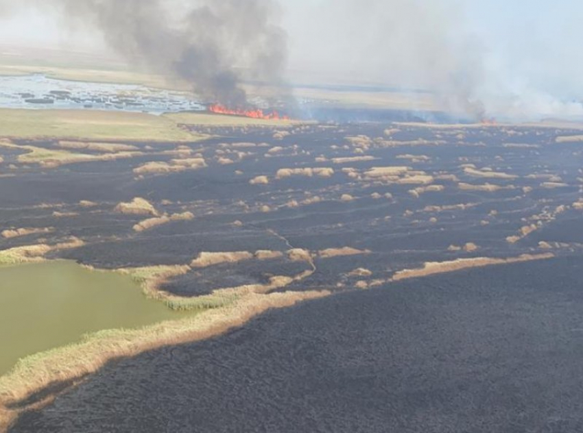 Природный пожар в плавнях под Приморско-Ахтарском потушили 
