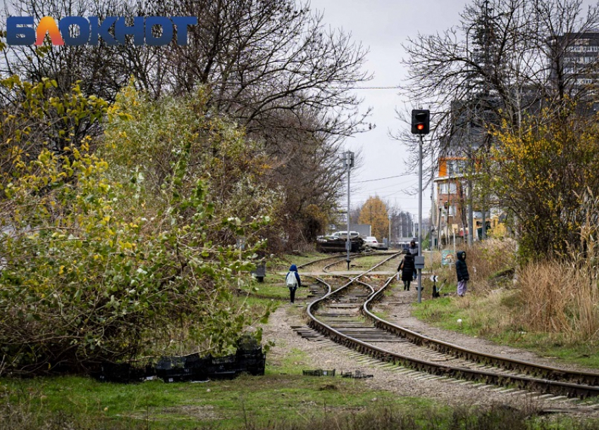 На глазах у отца поезд сбил 10-летнюю девочку в Краснодарском крае