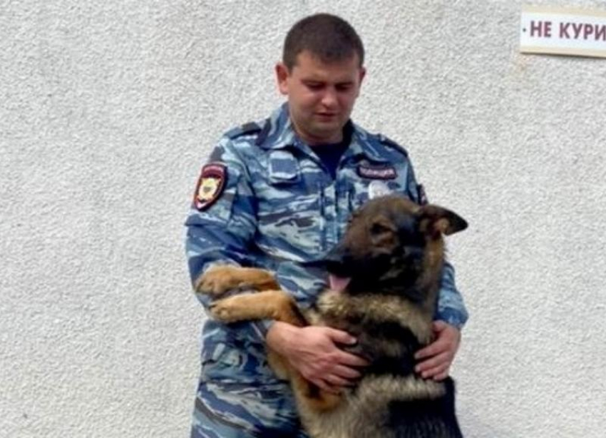 Служебная собака смогла найти пропавшую 10-летнюю девочку в Краснодаре