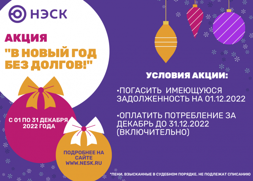 «В Новый год без долгов!»