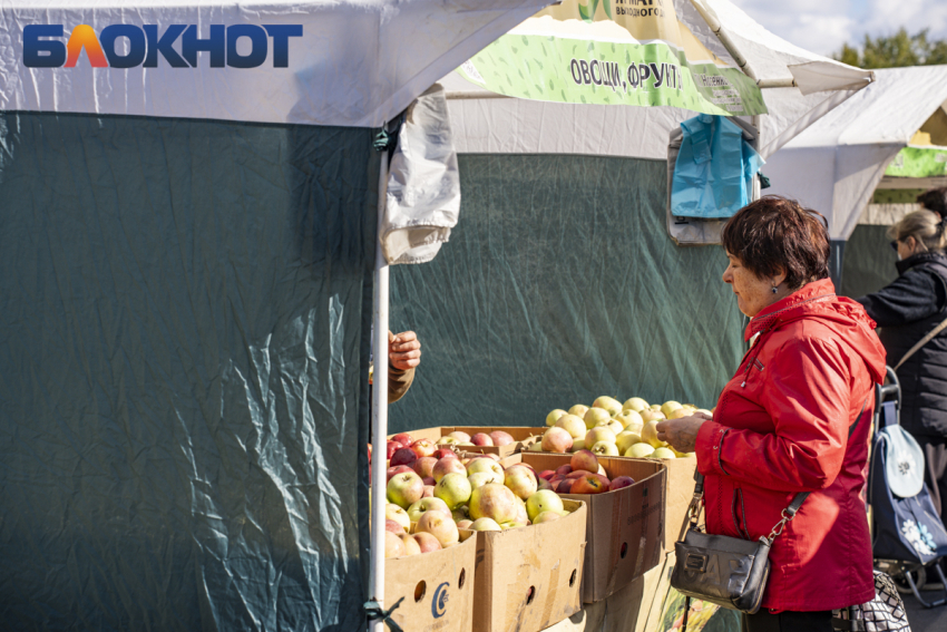 В Краснодаре открыли четыре ярмарки выходного дня: адреса