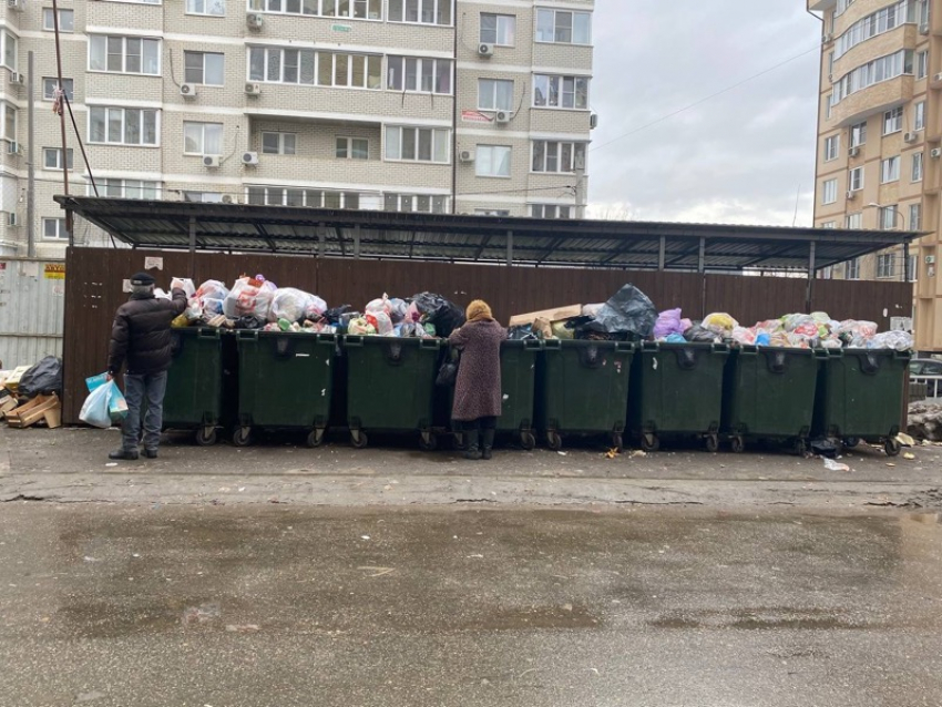 Горы отходов исчезают: после угроз мэра в Краснодаре занялись вывозом мусора