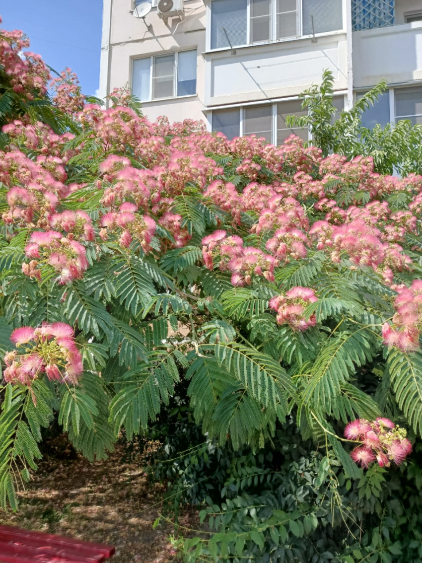 Актуальный Краснодар сегодня: Финогеев день. Почти 30 тепла. Проявляем инициативу в личных отношениях, но поворачиваем налево и опасаемся нечистой силы 