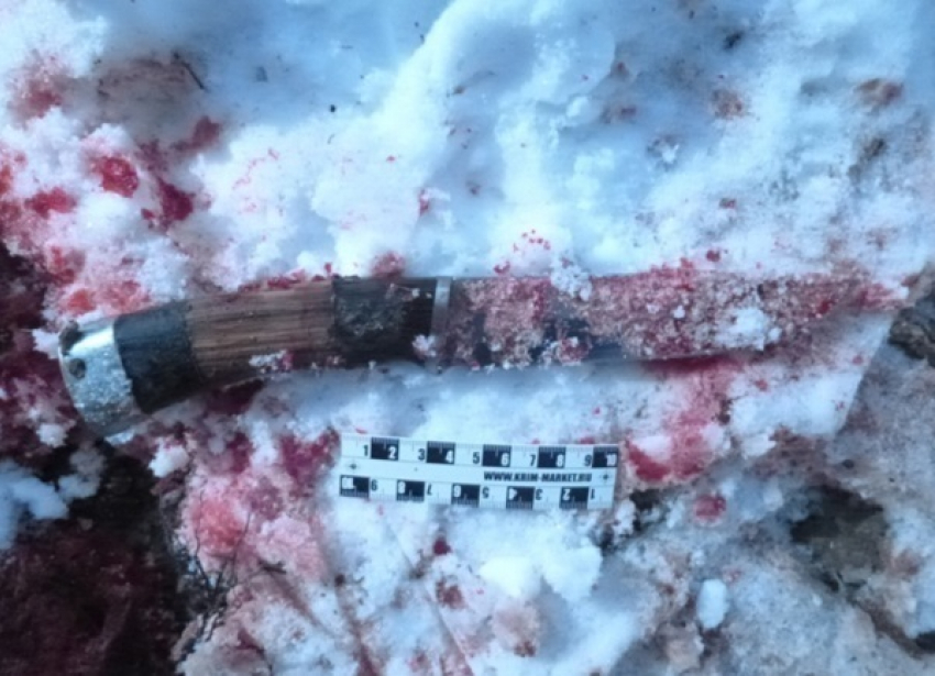 За убийство косули на охотника из Северского района завели уголовное дело