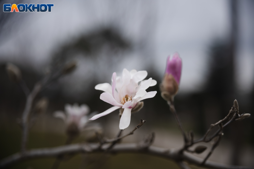 Утренний дайджест: провожаем апрель дождем и Днем овсяного печенья  