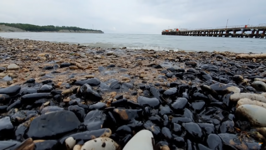  Жители Анапы, Геленджика и Тамани нашли на пляжах и в море следы нефтепродуктов 