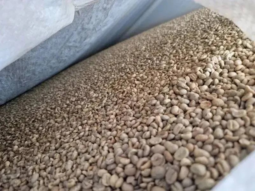Тонны заражённого кофе из Бразилии пытались ввезти на Кубань