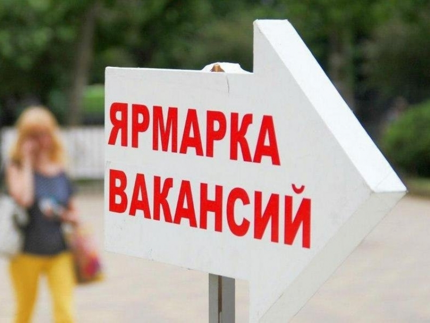 Сотни работодателей Краснодара и края примут участие в ярмарке вакансий