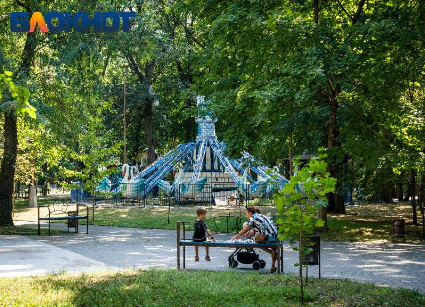 Мастер-класс по столярному делу и зумба-тур: краснодарцев пригласили в городские парки 