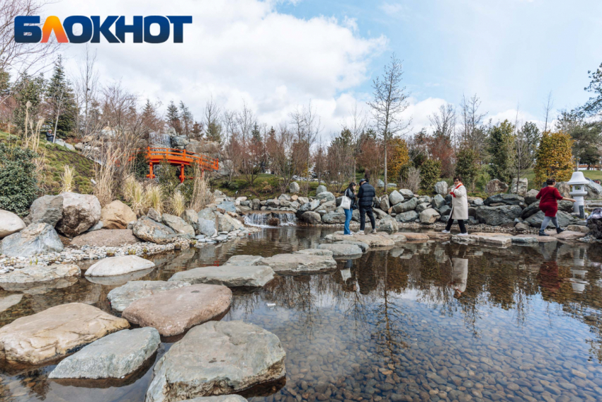 Весеннее потепление ворвётся в Краснодар на Рождество