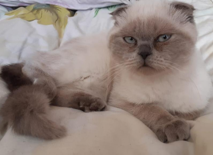 В Краснодаре 9 сентября тепло и ясно