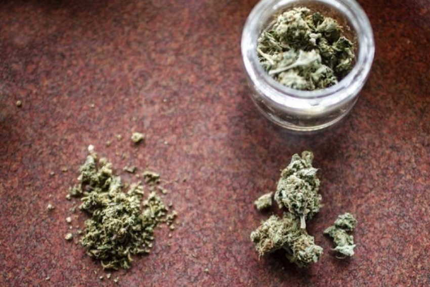 46-летний кубанец выращивал марихуану на приусадебном участке
