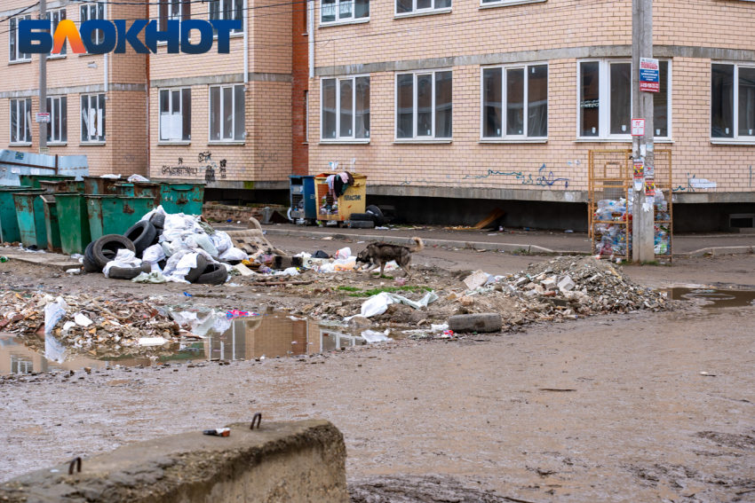 В Западном округе Краснодара планируют ликвидировать стихийные свалки в 2024 году 