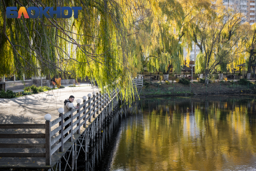 Солнце прорвётся сквозь облака в Краснодаре в субботу
