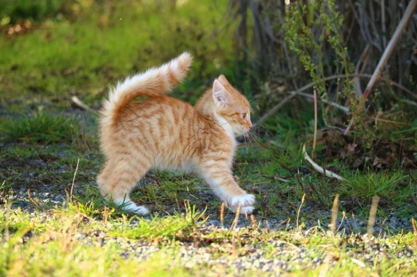  Ветер и заморозки ожидаются на Кубани 