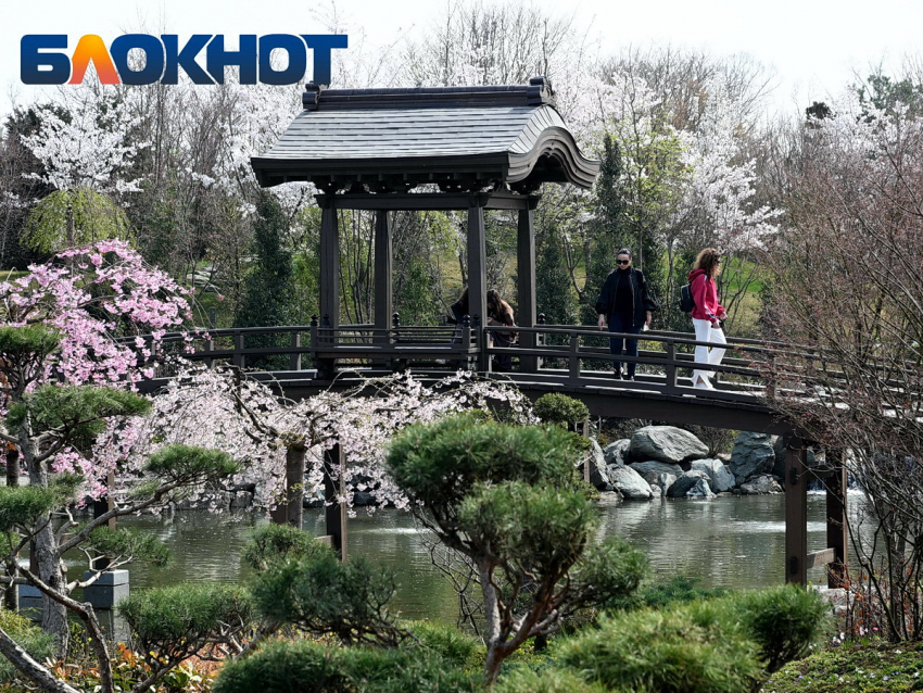 Портал в Азию: Японский сад Галицкого отмечает трёхлетие с момента открытия