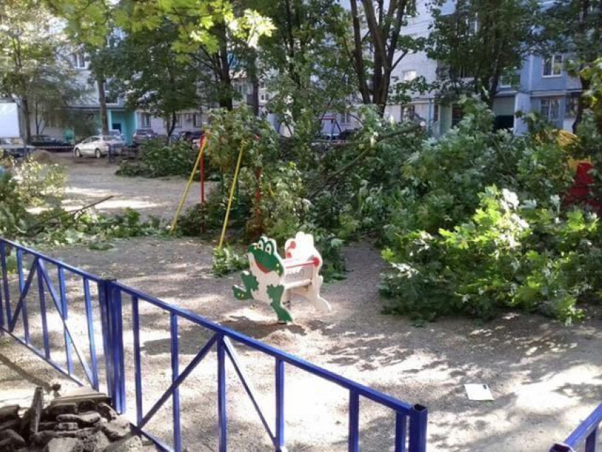 "Ваши дети и деревья нас не волнуют!» - краснодарцы шокированы опасной реконструкцией двора