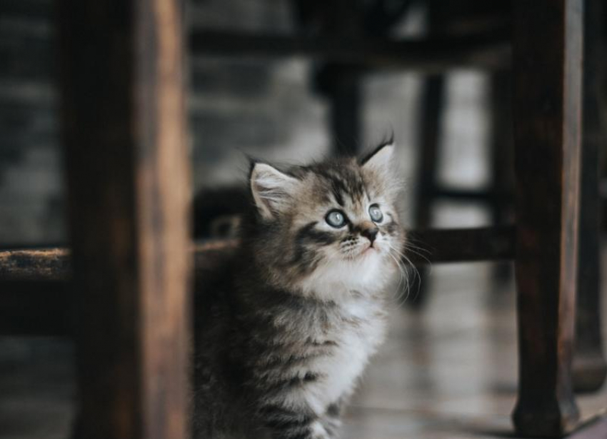 В последний весенний день погода в Краснодаре будет солнечной