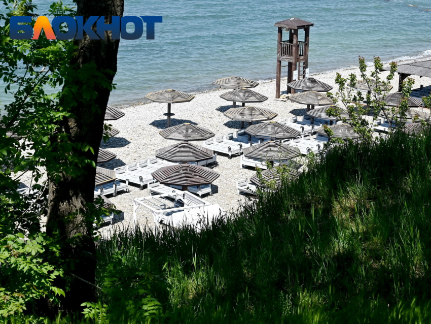Политолог назвал возможную цель атаки ВСУ на курорты Краснодарского края 