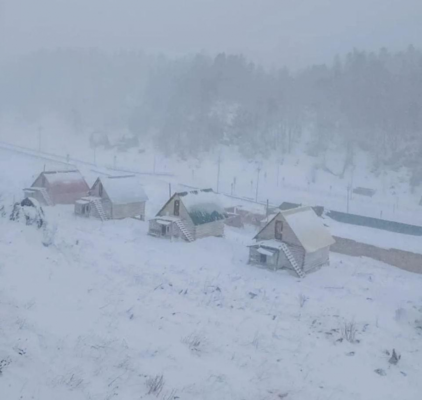 «Только начал зеленеть лес»: на Краснодарский край и Адыгею обрушилась вторая зима