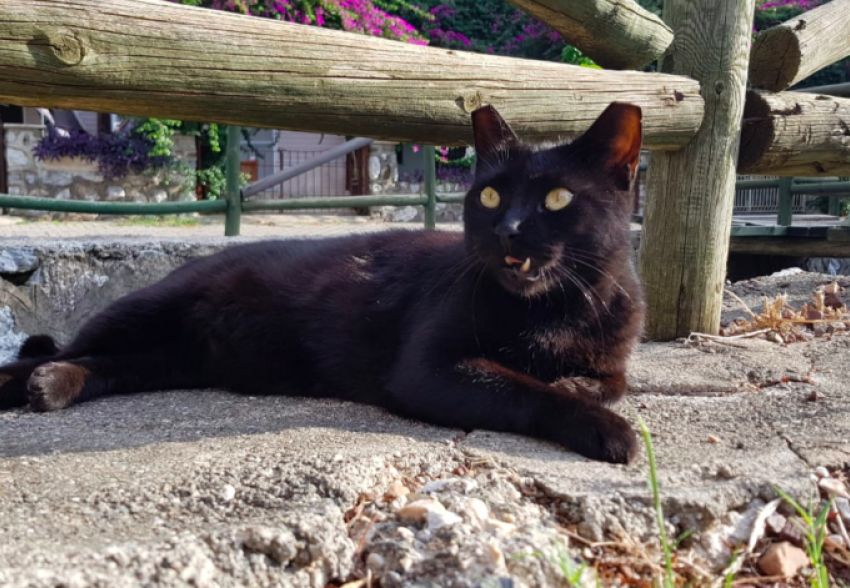 В Краснодарском крае температура воздуха подскочит под +40 градусов