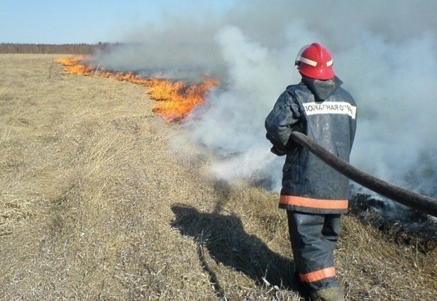 В Краснодаре в районе «Баскет-холла» загорелась сухая трава