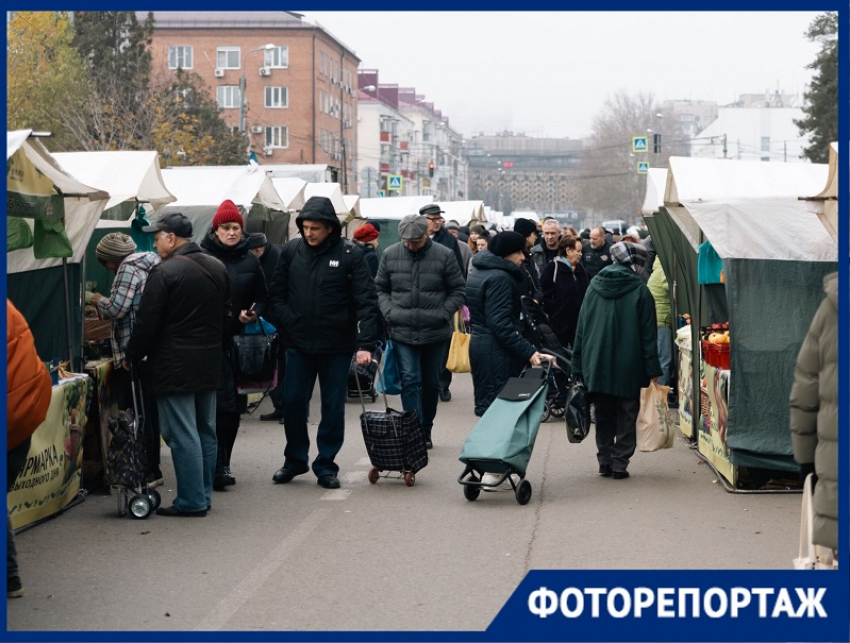 От микрозелени до бройлеров: чем поживиться на ярмарке выходного дня перед Новым годом
