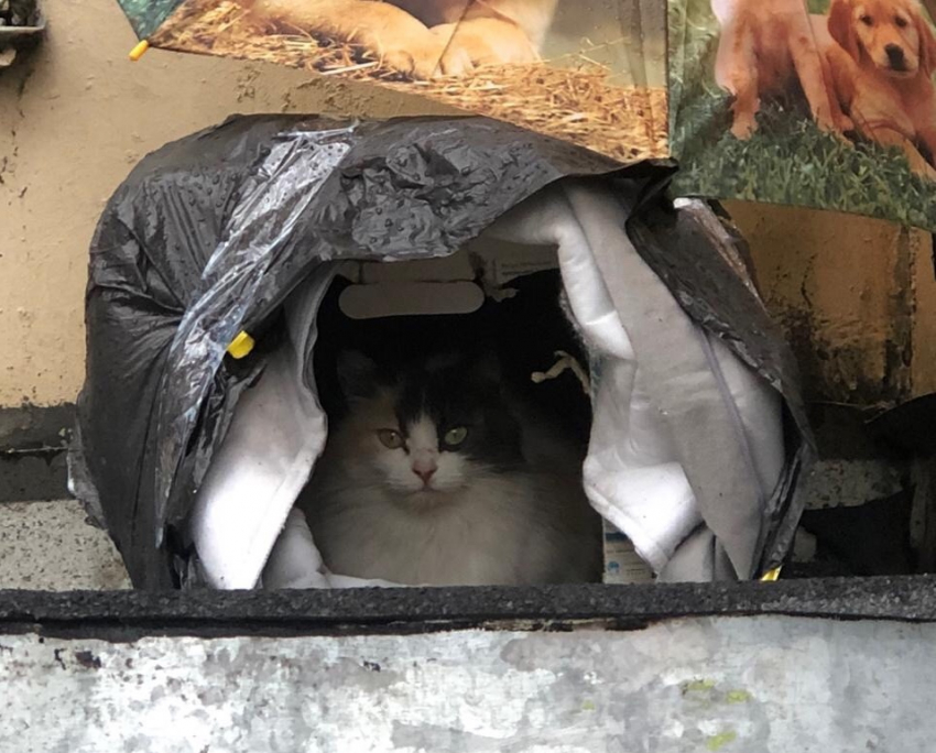 Ливни в Краснодарском крае задержатся