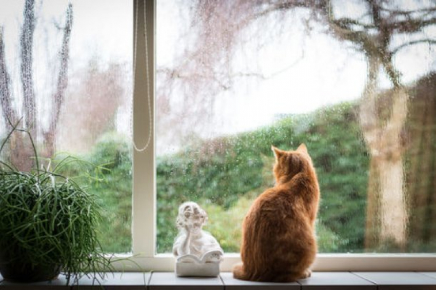  На Кубани ожидается сильный ветер и кратковременный дождь 