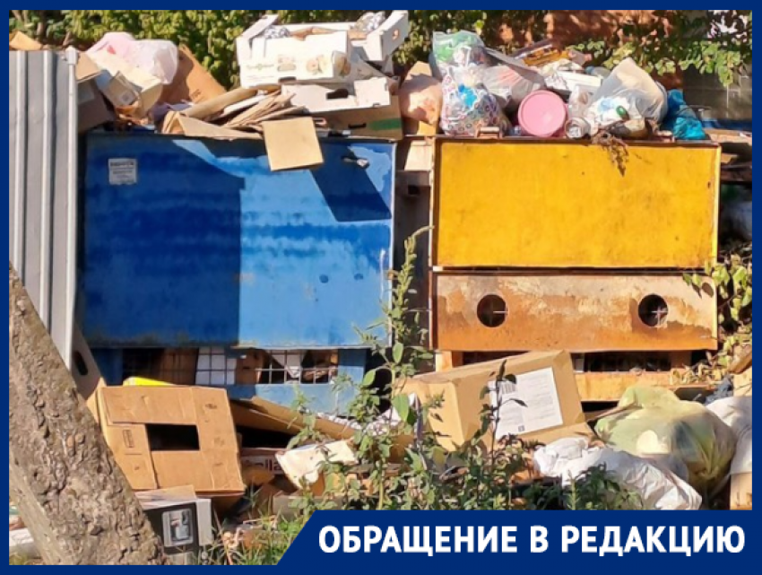 «Платим за мусор и крыс»: Пашковский микрорайон Краснодара завалили отходами 