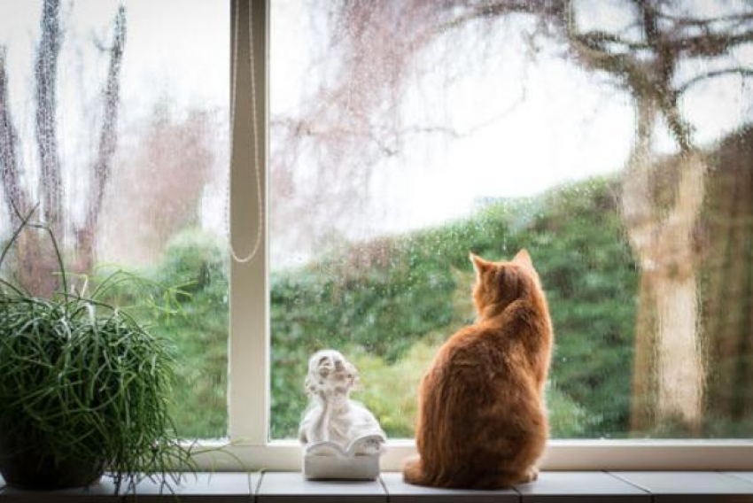 На Кубани малооблачно, местами пройдут дожди