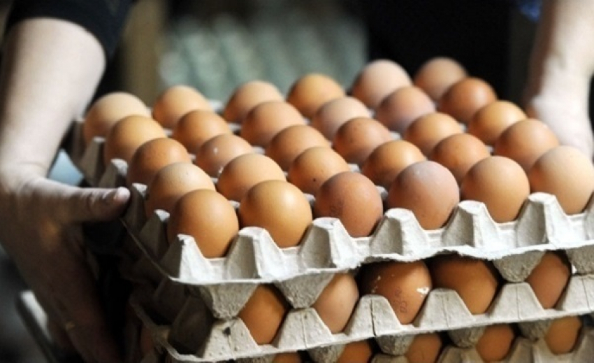 В Краснодаре возобновят выпуск куриных яиц