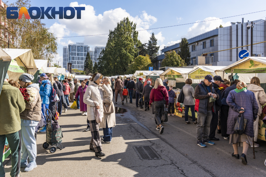 В Краснодаре заработает еще одна ярмарка выходного дня