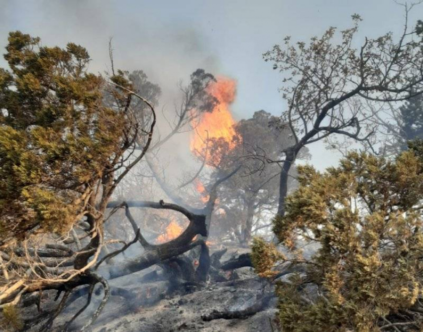 Волонтеры сообщили о двух новых лесных пожарах на Кубани