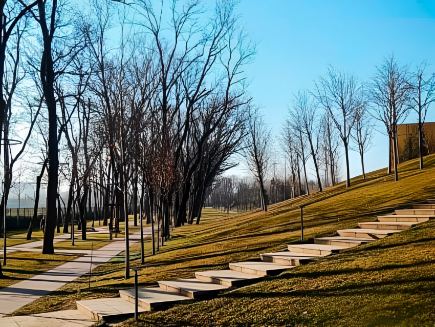 В парке Галицкого открыли новые прогулочные аллеи 