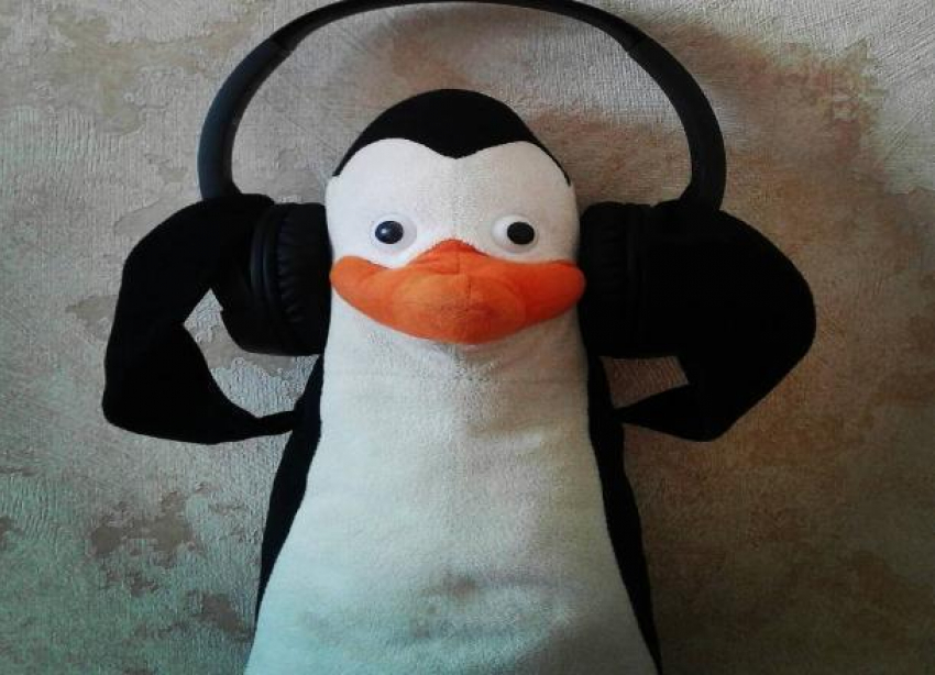  Пропавшего пингвина-путешественника разыскивают в Краснодаре 