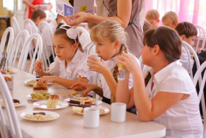 Что думают краснодарцы о возможном запрете проноса еды в школу 