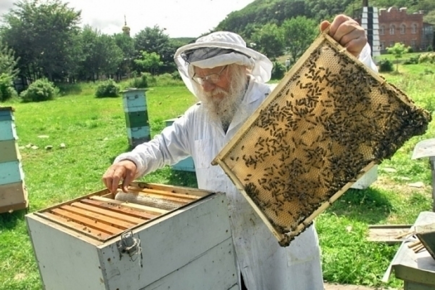 В Белореченске раскрыли кражу пчелиных ульев по «горячим следам»